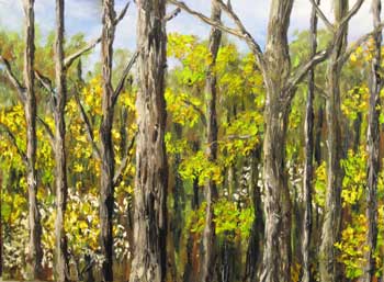 Landscape with Trees